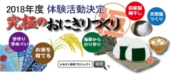おにぎり作り